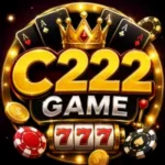 C222 Game